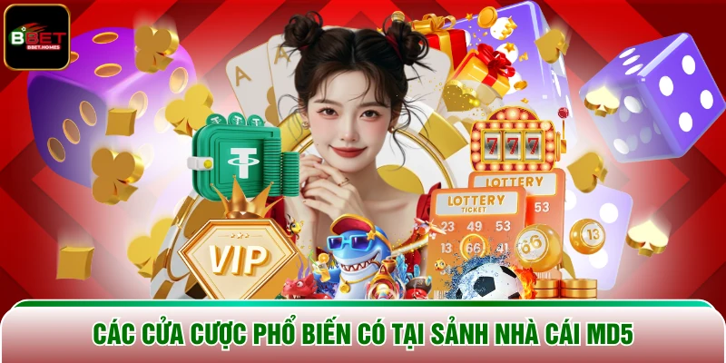 Các cửa cược phổ biến có tại sảnh nhà cái MD5