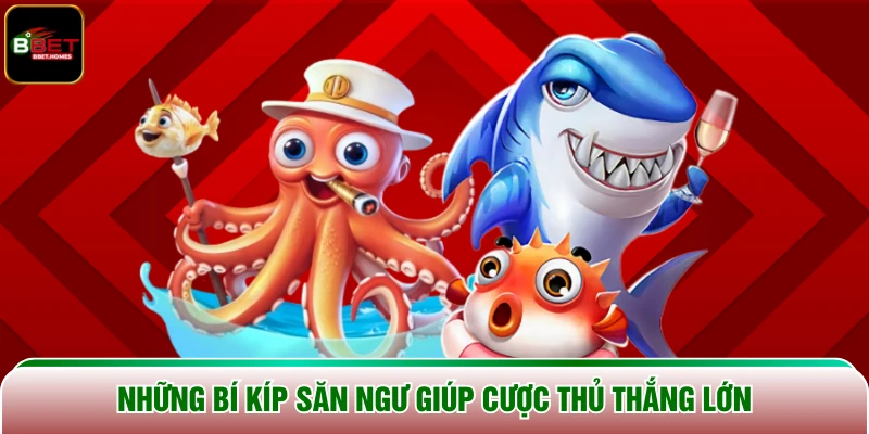 Những bí kíp săn ngư giúp cược thủ thắng lớn