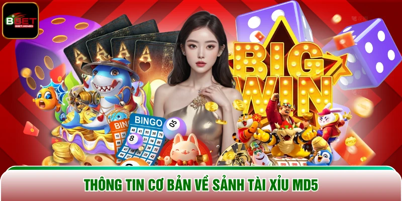 Thông tin cơ bản về sảnh Tài Xỉu MD5